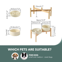 Havniva raised ceramic bowl on a stand for better eating posture.