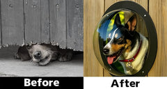 H&B Luxuries clear-view dome dog window showing your pup peering outside safely.