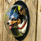 H&B Luxuries durable acrylic dome dog window on a fence enables safe outdoor viewing.