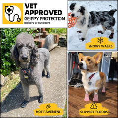 Hcpet anti-slip sole enhances traction for confident walks