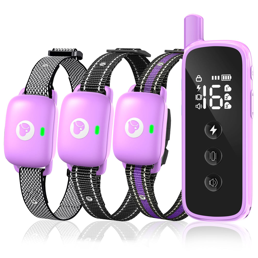 Heaflex dog training collar with remote outdoors for long-range training.