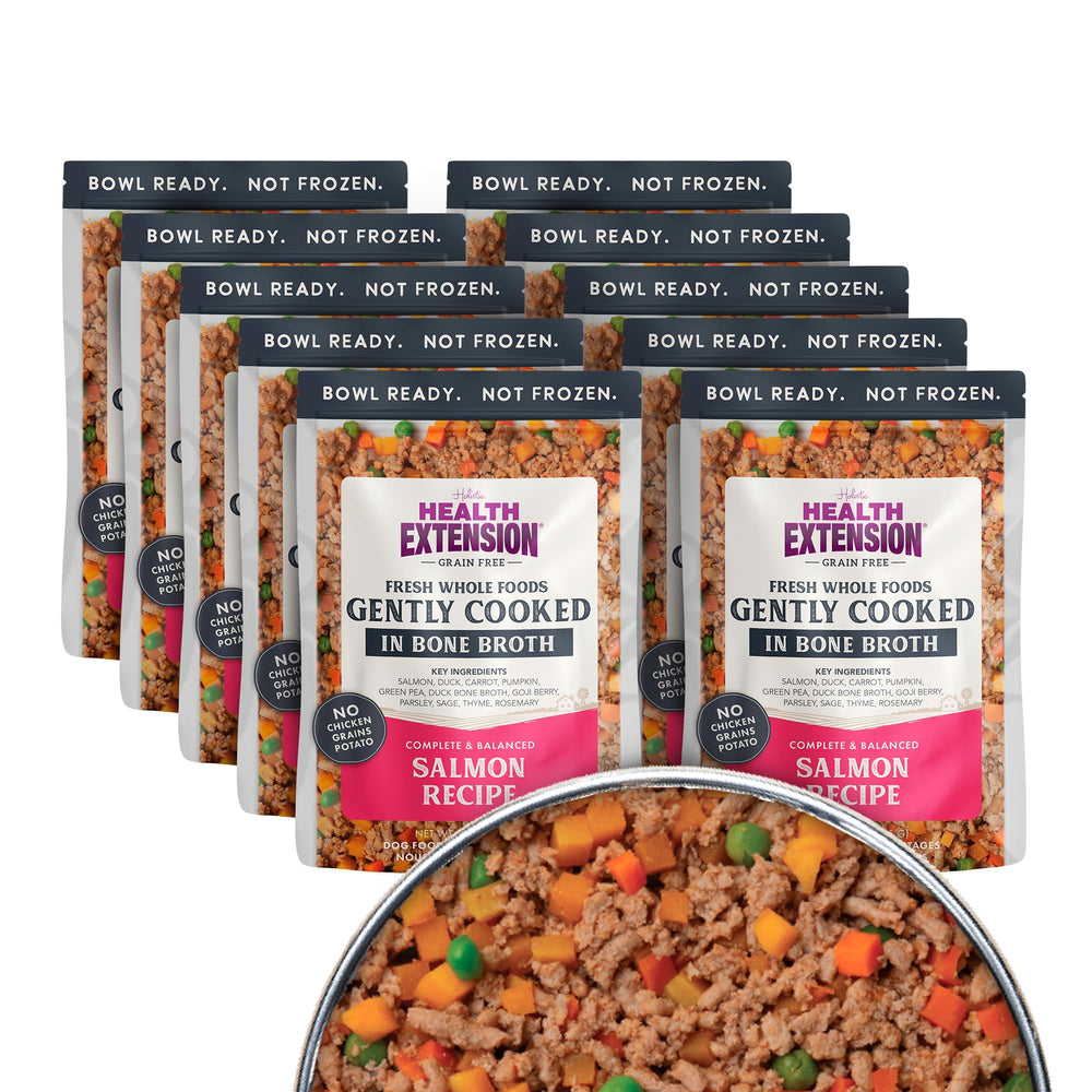 Health Extension gently cooked salmon dog food pouch ready for convenient meals