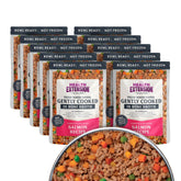 Health Extension gently cooked salmon dog food pouch ready for convenient meals