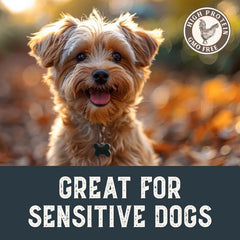 Health Extension Grain-Free Chicken Tenders training use for dogs of all sizes.
