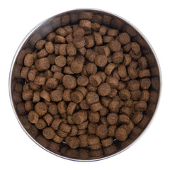 Health Extension grain-free dog food close-up shows real ingredients for digestibility.