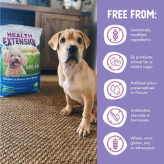 Health Extension Little Bites probiotics; digestive balance support for small dogs.