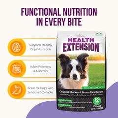 Health Extension Original Chicken and Brown Rice dog mealtime bowl, balanced nutrition for all life stages.