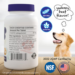 Close-up of Health Thru Nutrition Dog-Vites CoQ10 chews, a palatable option for easy supplementation.