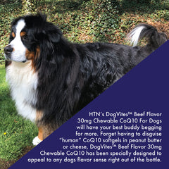 Health Thru Nutrition Dog-Vites CoQ10 bottle beside a dog bowl, signaling a simple daily routine.