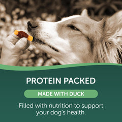 Healthfuls Duck and Sweet Potato ingredients highlighted for natural snacks