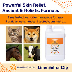 Healthy Paw Life lime sulfur dip being diluted for safe, scalable pet treatment.