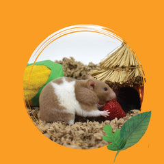 Healthy Pet CritterCare nesting-soft paper invites hamsters to burrow and build cozy nests.