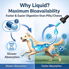 Healthy Petz dog joint-mobility close-up highlights flexible movement support.