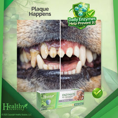 Healthy Surplus xylitol-free toothpaste suitable for everyday pet care