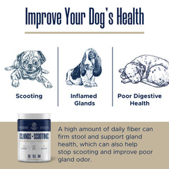 Healthy Pup psyllium husk supports regularity and gut balance for dogs