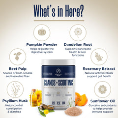 Healthy Pup pumpkin powder blend aiding digestive balance in dogs