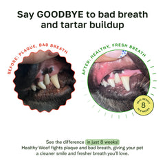 Healthy Woof bone broth powder mixed with water for a savory, easy-to-use dental care broth.
