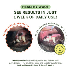 Healthy Woof dental powder dispenses into broth for feeding