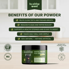 Healthy Woof scoop shown for measuring powder to sprinkle on food.