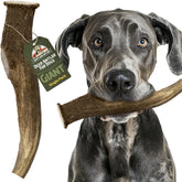 Heartland Deer Antlers giant 9-inch chew provides natural dental care for dogs.
