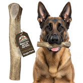 Heartland Antlers whole elk antler dog chew for lasting entertainment and natural wear.
