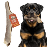 Heartland Elk Antlers for Dogs 8+ XL chew for aggressive chewers.