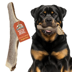 Heartland Elk Antlers for Dogs 8+ XL chew for aggressive chewers.