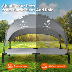 Heeyoo 60-inch dog cot shows spacious raised design for large dogs