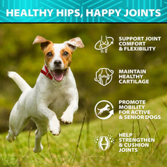 Helopssa glucosamine chews—duck flavor close-up for tasty joint care.