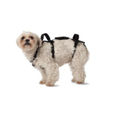 Help 'Em Up dog lift harness front view showing full-body support during lifting