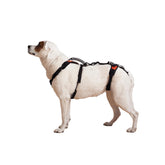 Help 'Em Up dog lift harness with full body support during lifting.
