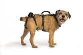 Help 'Em Up dog lift harness with full-body support for easy lifting