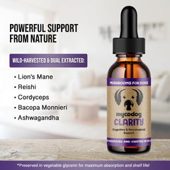 Close-up of mushroom extract ingredients used in MycoDog Clarity jar.