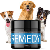 Hemp Dog Health Remedy balm jar close-up highlighting natural skin care for dogs.