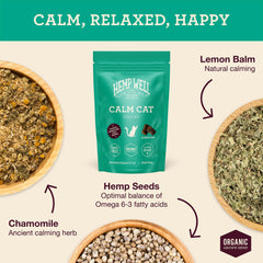 Hemp Well Calm Cat Soft Chews tray close-up shows texture for easy dosing.