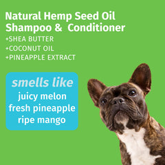 Hempz Petz dog shampoo lather with rich foam for easy cleansing.