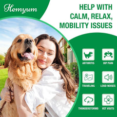 Hemyum pet calm effect scene highlighting anxiety relief and relaxed behavior.