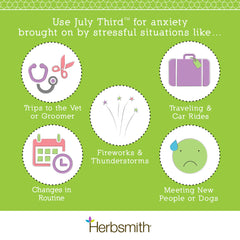 Herbsmith July Third with dog and owner supports relaxed moments.
