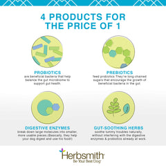 Herbsmith Microflora Plus capsules closeup for dog gut health.