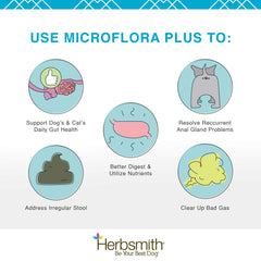 Dog happily eats a meal with Microflora Plus mixed in for gut support