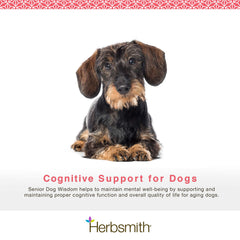 Herbsmith Senior Dog Wisdom chews showing easy texture