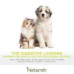 Herbsmith slippery elm powder mixed into dog food for easier digestion.