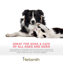 Herbsmith Taurine Boost powder poured over pet food for easy dosing