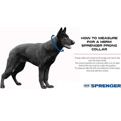 Herm Sprenger chrome prong collar smooth edge design reduces friction during walks.