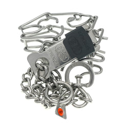 ClickLock buckle on Herm Sprenger collar enables easy on/off during outings
