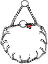 Herm Sprenger prong collar closeup shows dual prongs for secure control.