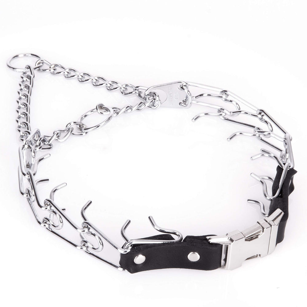 Herm Sprenger prong collar with quick-release buckle shown for easy handling during walks.