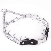 Herm Sprenger prong collar with quick-release buckle shown for easy handling during walks.