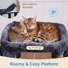 Hey-brother cat tree two hammocks for cozy naps and versatile lounging.