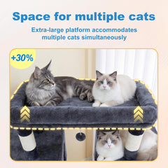 Hey-brother Cat Tree Tower rooftop bed accommodates two or more cats.